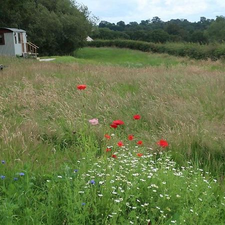 Little Idyll Shepherds Hut Villa Chester Exterior foto