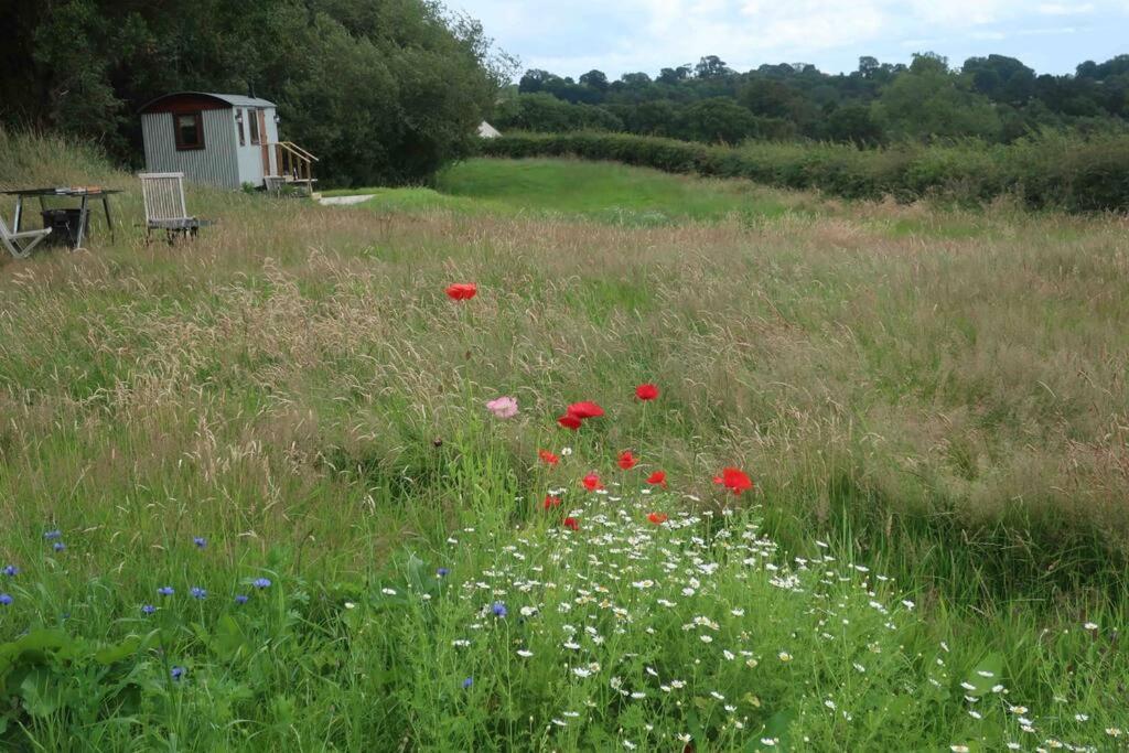 Little Idyll Shepherds Hut Villa Chester Exterior foto